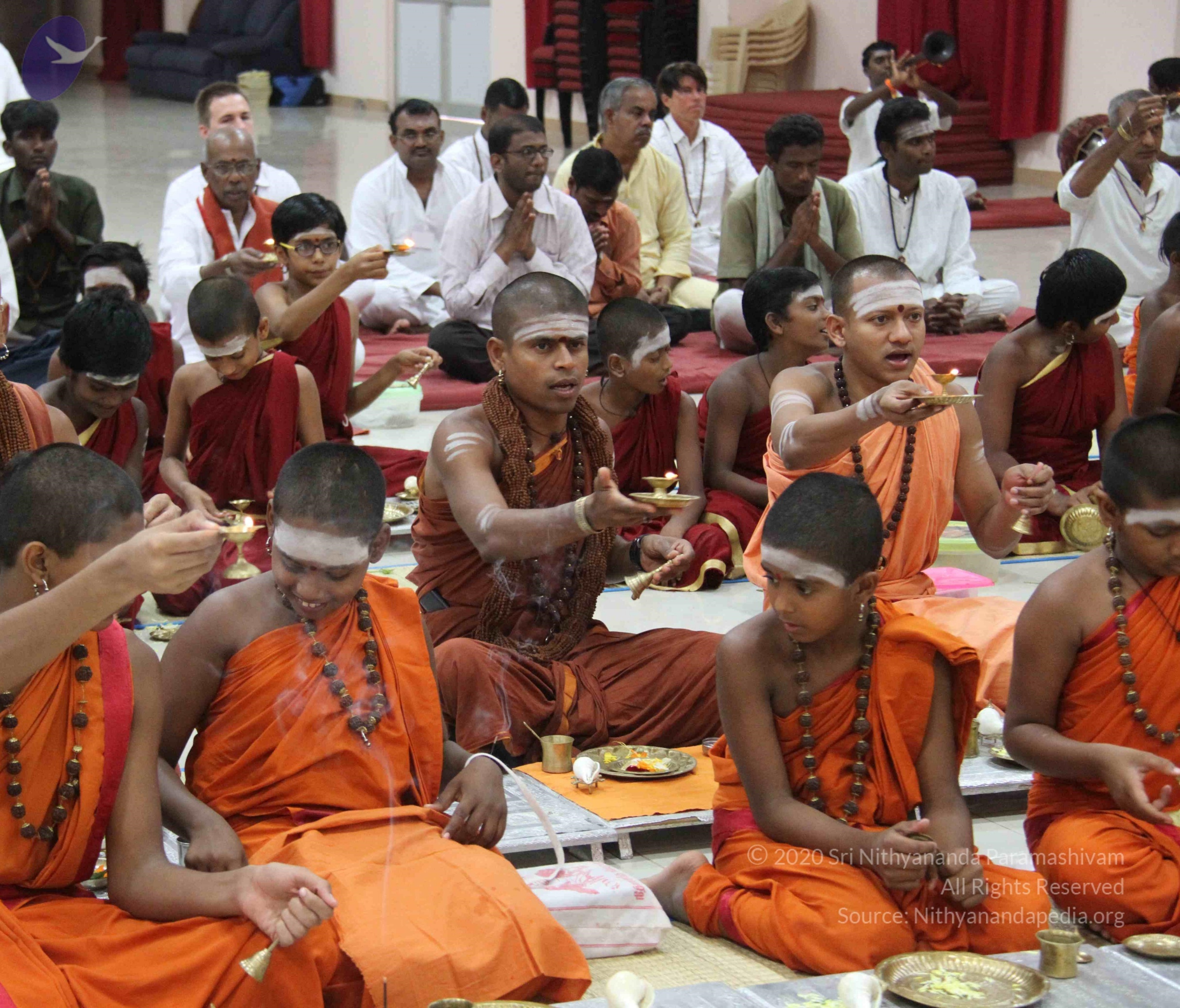 IMG_8974_CMP_WM done